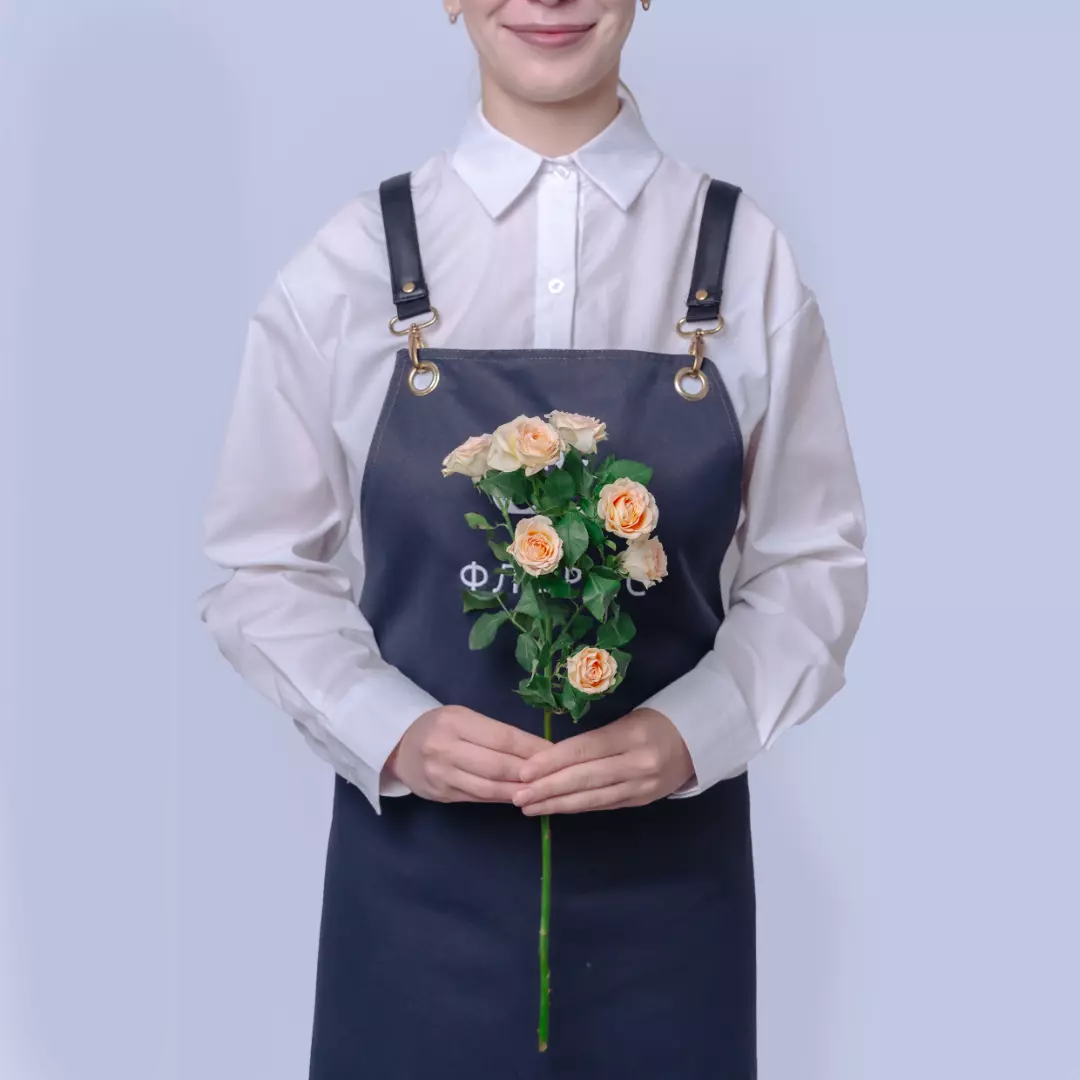 Персиковая роза кустовая Голландия - фото 1